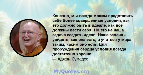 Конечно, мы всегда можем представить себе более совершенные условия, как это должно быть в идеале, как все должны вести себя. Но это не наша задача создать идеал. Наша задача - увидеть, как она есть, и учиться у мира