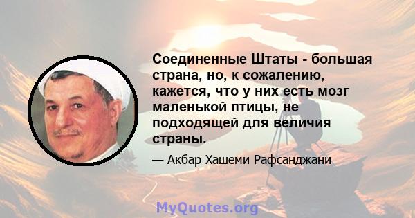 Соединенные Штаты - большая страна, но, к сожалению, кажется, что у них есть мозг маленькой птицы, не подходящей для величия страны.