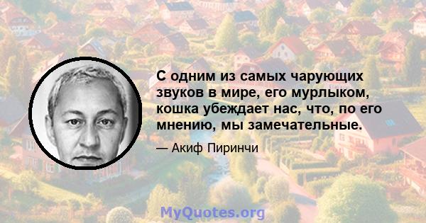 С одним из самых чарующих звуков в мире, его мурлыком, кошка убеждает нас, что, по его мнению, мы замечательные.