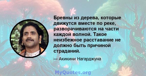 Бревны из дерева, которые движутся вместе по реке, разворачиваются на части каждой волной. Такое неизбежное расставание не должно быть причиной страданий.