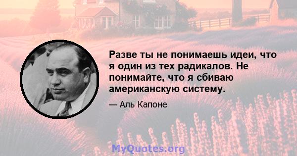 Разве ты не понимаешь идеи, что я один из тех радикалов. Не понимайте, что я сбиваю американскую систему.