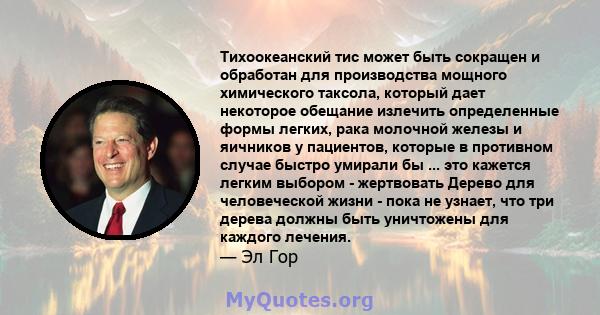 Тихоокеанский тис может быть сокращен и обработан для производства мощного химического таксола, который дает некоторое обещание излечить определенные формы легких, рака молочной железы и яичников у пациентов, которые в