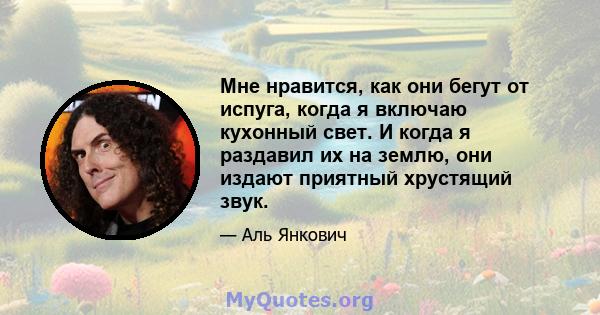 Мне нравится, как они бегут от испуга, когда я включаю кухонный свет. И когда я раздавил их на землю, они издают приятный хрустящий звук.