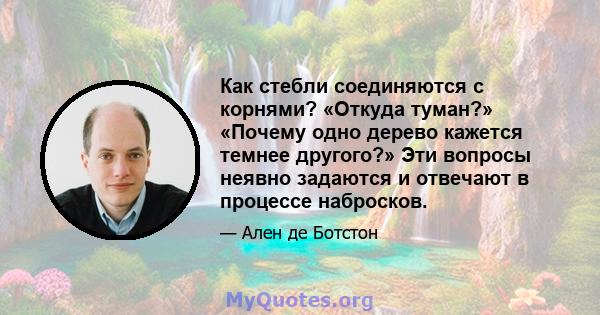 Как стебли соединяются с корнями? «Откуда туман?» «Почему одно дерево кажется темнее другого?» Эти вопросы неявно задаются и отвечают в процессе набросков.