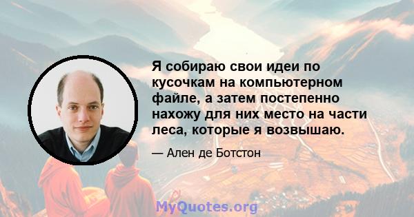 Я собираю свои идеи по кусочкам на компьютерном файле, а затем постепенно нахожу для них место на части леса, которые я возвышаю.