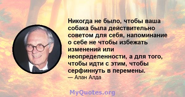 Никогда не было, чтобы ваша собака была действительно советом для себя, напоминание о себе не чтобы избежать изменений или неопределенности, а для того, чтобы идти с этим, чтобы серфиннуть в перемены.