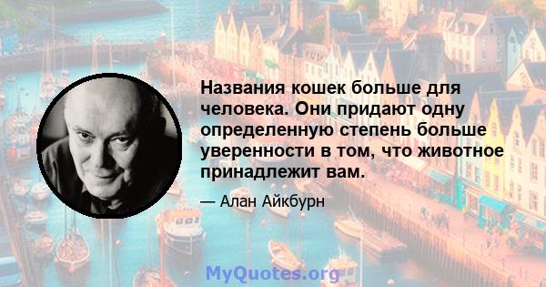 Названия кошек больше для человека. Они придают одну определенную степень больше уверенности в том, что животное принадлежит вам.