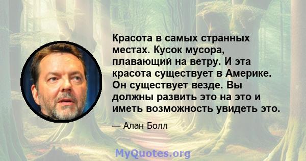 Красота в самых странных местах. Кусок мусора, плавающий на ветру. И эта красота существует в Америке. Он существует везде. Вы должны развить это на это и иметь возможность увидеть это.