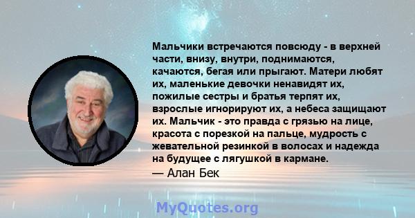 Мальчики встречаются повсюду - в верхней части, внизу, внутри, поднимаются, качаются, бегая или прыгают. Матери любят их, маленькие девочки ненавидят их, пожилые сестры и братья терпят их, взрослые игнорируют их, а