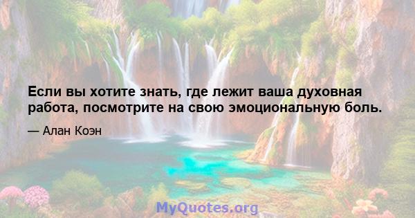 Если вы хотите знать, где лежит ваша духовная работа, посмотрите на свою эмоциональную боль.