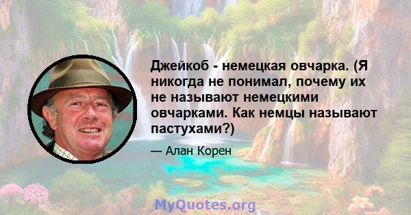 Джейкоб - немецкая овчарка. (Я никогда не понимал, почему их не называют немецкими овчарками. Как немцы называют пастухами?)