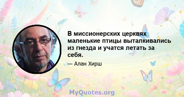 В миссионерских церквях маленькие птицы выталкивались из гнезда и учатся летать за себя.