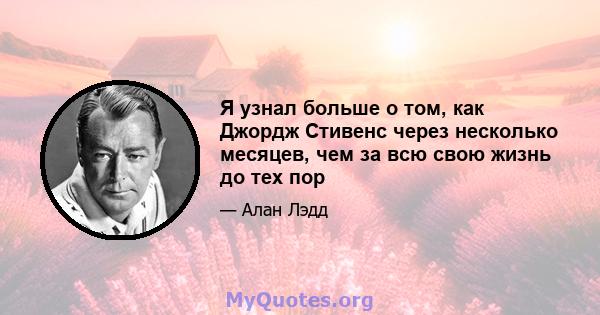 Я узнал больше о том, как Джордж Стивенс через несколько месяцев, чем за всю свою жизнь до тех пор