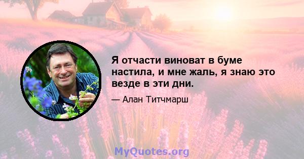 Я отчасти виноват в буме настила, и мне жаль, я знаю это везде в эти дни.