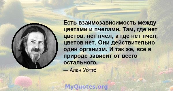 Есть взаимозависимость между цветами и пчелами. Там, где нет цветов, нет пчел, а где нет пчел, цветов нет. Они действительно один организм. И так же, все в природе зависит от всего остального.