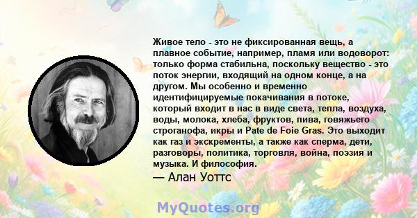 Живое тело - это не фиксированная вещь, а плавное событие, например, пламя или водоворот: только форма стабильна, поскольку вещество - это поток энергии, входящий на одном конце, а на другом. Мы особенно и временно