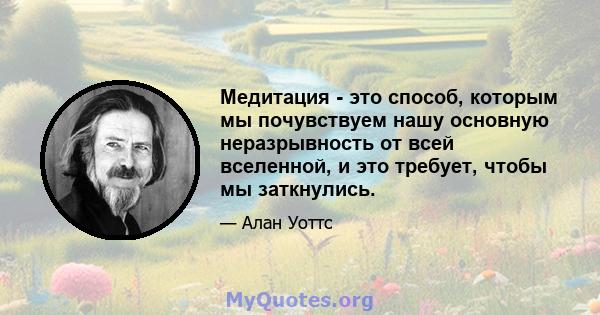 Медитация - это способ, которым мы почувствуем нашу основную неразрывность от всей вселенной, и это требует, чтобы мы заткнулись.