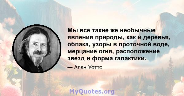 Мы все такие же необычные явления природы, как и деревья, облака, узоры в проточной воде, мерцание огня, расположение звезд и форма галактики.