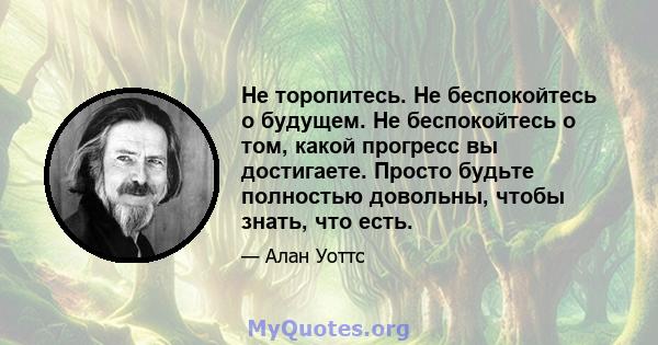 Не торопитесь. Не беспокойтесь о будущем. Не беспокойтесь о том, какой прогресс вы достигаете. Просто будьте полностью довольны, чтобы знать, что есть.