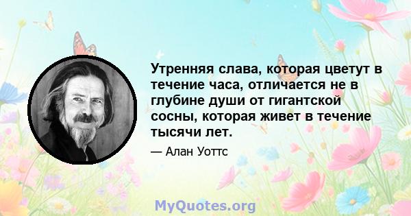 Утренняя слава, которая цветут в течение часа, отличается не в глубине души от гигантской сосны, которая живет в течение тысячи лет.