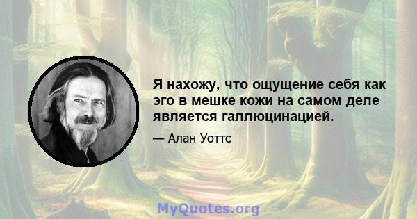 Я нахожу, что ощущение себя как эго в мешке кожи на самом деле является галлюцинацией.