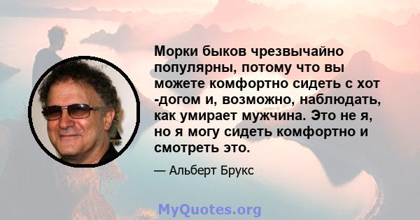 Морки быков чрезвычайно популярны, потому что вы можете комфортно сидеть с хот -догом и, возможно, наблюдать, как умирает мужчина. Это не я, но я могу сидеть комфортно и смотреть это.