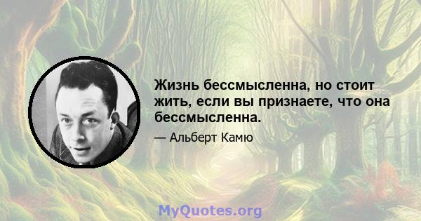 Жизнь бессмысленна, но стоит жить, если вы признаете, что она бессмысленна.