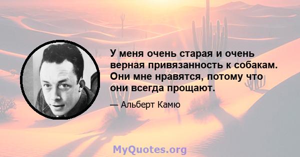 У меня очень старая и очень верная привязанность к собакам. Они мне нравятся, потому что они всегда прощают.