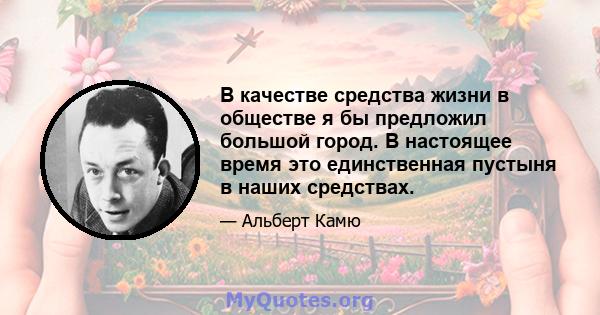 В качестве средства жизни в обществе я бы предложил большой город. В настоящее время это единственная пустыня в наших средствах.