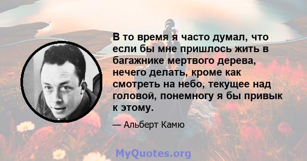 В то время я часто думал, что если бы мне пришлось жить в багажнике мертвого дерева, нечего делать, кроме как смотреть на небо, текущее над головой, понемногу я бы привык к этому.