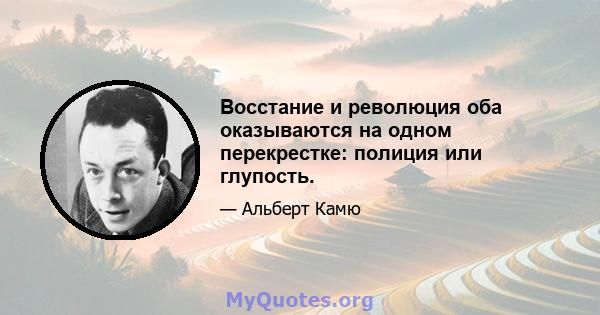 Восстание и революция оба оказываются на одном перекрестке: полиция или глупость.