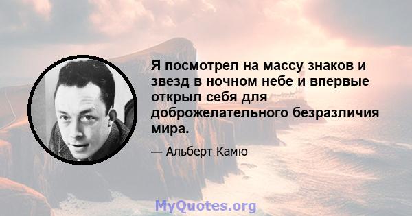 Я посмотрел на массу знаков и звезд в ночном небе и впервые открыл себя для доброжелательного безразличия мира.