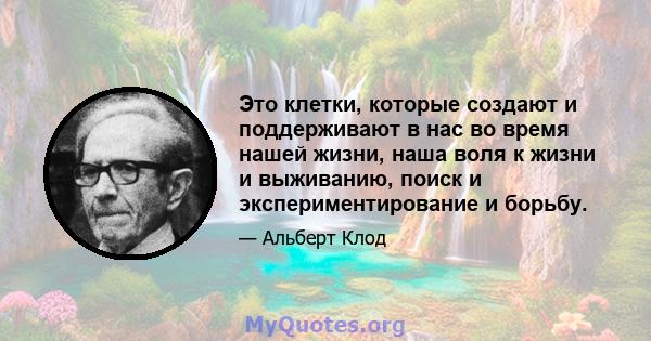 Это клетки, которые создают и поддерживают в нас во время нашей жизни, наша воля к жизни и выживанию, поиск и экспериментирование и борьбу.