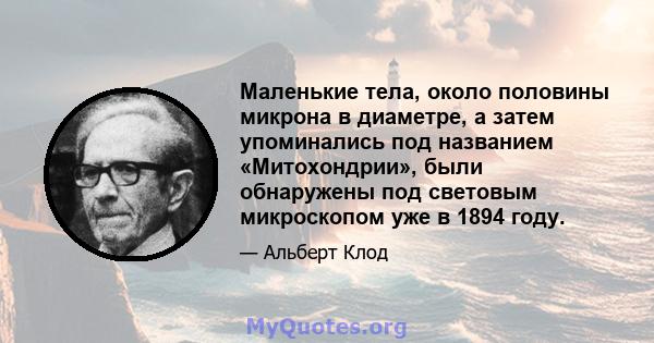 Маленькие тела, около половины микрона в диаметре, а затем упоминались под названием «Митохондрии», были обнаружены под световым микроскопом уже в 1894 году.