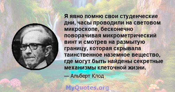 Я явно помню свои студенческие дни, часы проводили на световом микроскопе, бесконечно поворачивая микрометрический винт и смотрев на размытую границу, которая скрывала таинственное наземное вещество, где могут быть