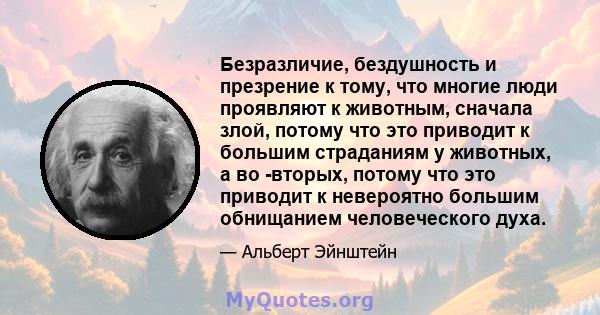 Безразличие, бездушность и презрение к тому, что многие люди проявляют к животным, сначала злой, потому что это приводит к большим страданиям у животных, а во -вторых, потому что это приводит к невероятно большим