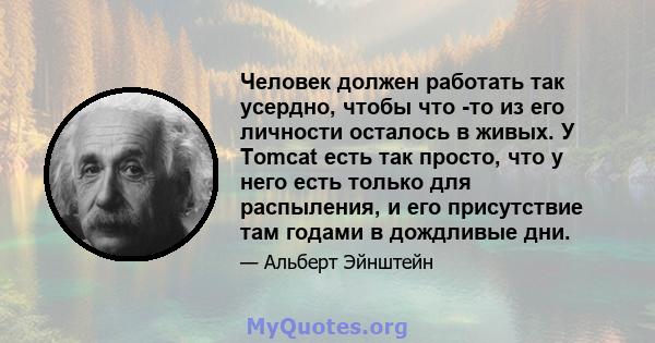 Человек должен работать так усердно, чтобы что -то из его личности осталось в живых. У Tomcat есть так просто, что у него есть только для распыления, и его присутствие там годами в дождливые дни.