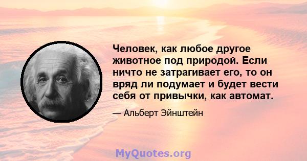 Человек, как любое другое животное под природой. Если ничто не затрагивает его, то он вряд ли подумает и будет вести себя от привычки, как автомат.