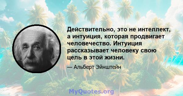 Действительно, это не интеллект, а интуиция, которая продвигает человечество. Интуиция рассказывает человеку свою цель в этой жизни.