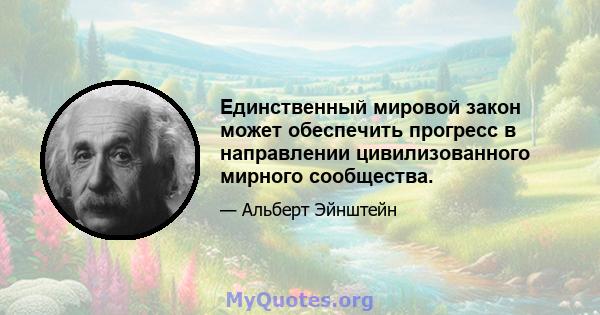 Единственный мировой закон может обеспечить прогресс в направлении цивилизованного мирного сообщества.