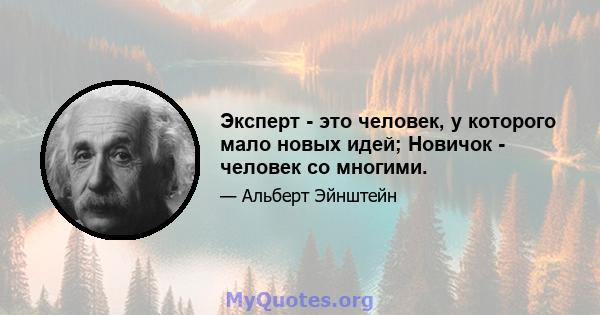 Эксперт - это человек, у которого мало новых идей; Новичок - человек со многими.