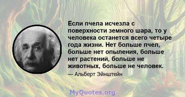 Если пчела исчезла с поверхности земного шара, то у человека останется всего четыре года жизни. Нет больше пчел, больше нет опыления, больше нет растений, больше не животных, больше не человек.