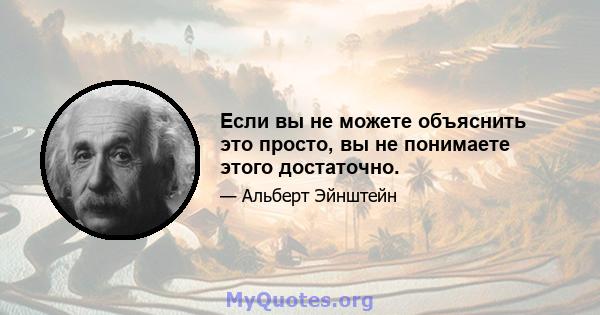 Если вы не можете объяснить это просто, вы не понимаете этого достаточно.