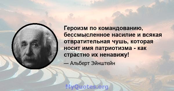 Героизм по командованию, бессмысленное насилие и всякая отвратительная чушь, которая носит имя патриотизма - как страстно их ненавижу!