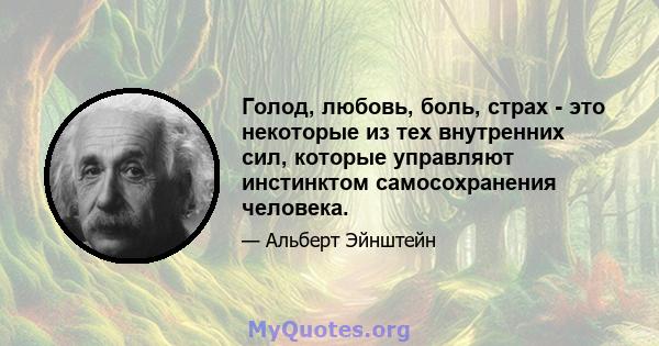 Голод, любовь, боль, страх - это некоторые из тех внутренних сил, которые управляют инстинктом самосохранения человека.