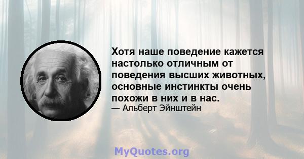 Хотя наше поведение кажется настолько отличным от поведения высших животных, основные инстинкты очень похожи в них и в нас.