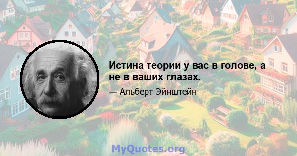 Истина теории у вас в голове, а не в ваших глазах.