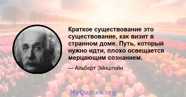 Краткое существование это существование, как визит в странном доме. Путь, который нужно идти, плохо освещается мерцающим сознанием.