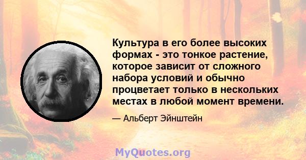 Культура в его более высоких формах - это тонкое растение, которое зависит от сложного набора условий и обычно процветает только в нескольких местах в любой момент времени.