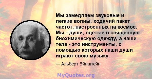 Мы замедляем звуковые и легкие волны, ходячий пакет частот, настроенных на космос. Мы - души, одетые в священную биохимическую одежду, а наши тела - это инструменты, с помощью которых наши души играют свою музыку.